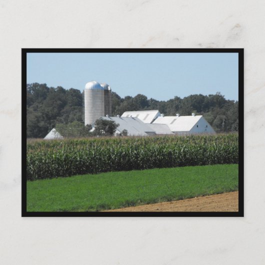 ~ Summer in Lancaster County ~ 70 Briefkaart (Voorkant)