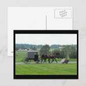 ~ Summer in Lancaster County ~ 72 Briefkaart (Voorkant / Achterkant)