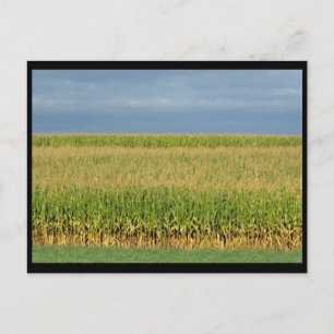 ~ Summer in Lancaster County ~ 82 Briefkaart