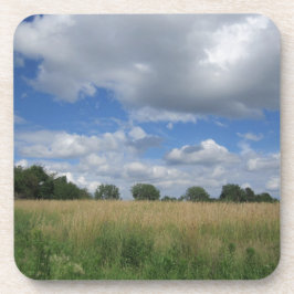 Summer Iowa Prairie Bier Onderzetter