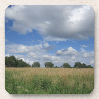 Summer Iowa Prairie Bier Onderzetter