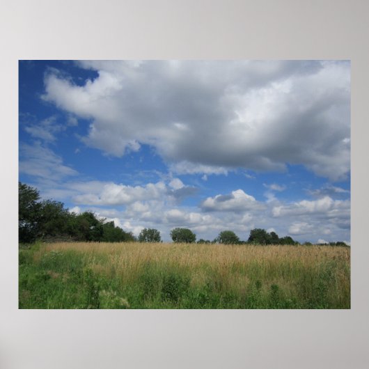 Summer Iowa Prairie Poster (Voorkant)