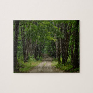 Summer Lane Puzzle Legpuzzel