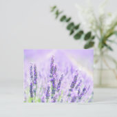 Summer Lavender Briefkaart (Staand voorkant)