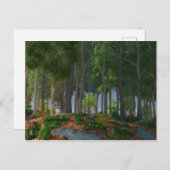 Summer Leaves Briefkaart (Voorkant / Achterkant)