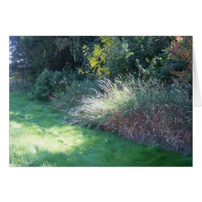 Summer Light Card (Voorkant Horizontaal)