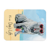Summer Mastino Magnet Magneet (Horizontaal)