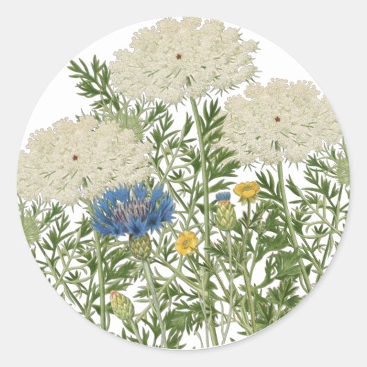 Summer Meadow Flowers Queen Anne's Lace Ronde Sticker (Voorkant)