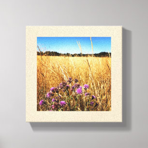 Summer Meadow met Milk Thistle Canvas Afdruk