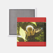 Summer Monarch Square Magnet Magneet (Voorkant / Achterkant)