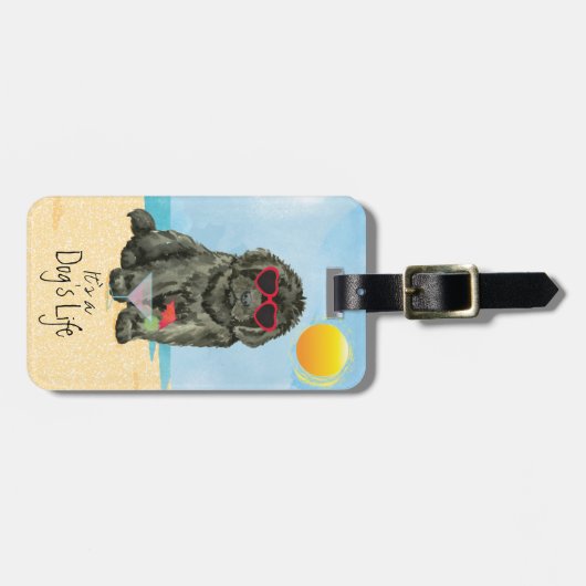 Summer Newfoundland Bagagelabel (Voorkant horizontaal)