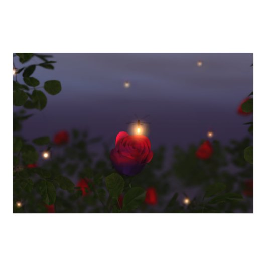 Summer Nightlights Foto Print Afdruk (Voorkant)