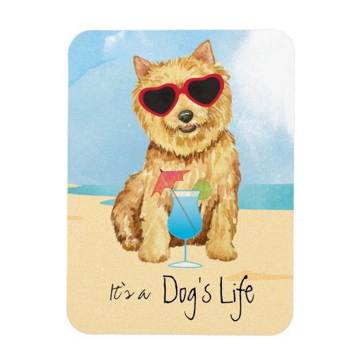 Summer Norwich Terrier Magnet Magneet (Verticaal)