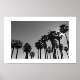 Summer Ocean Palms Black en White Photography Poster