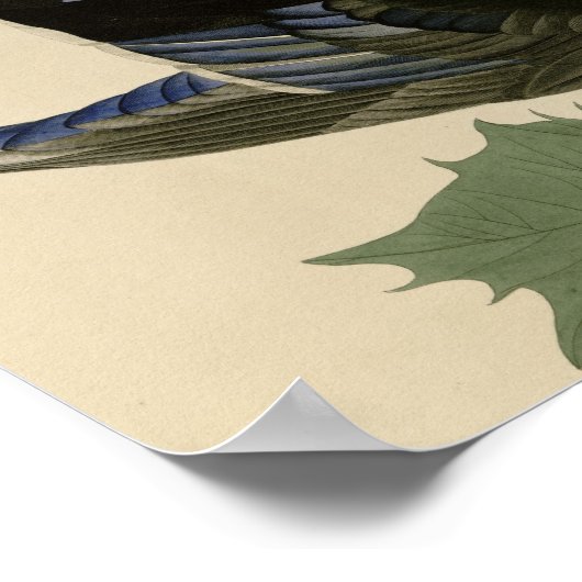 Summer of Wood Duck Poster (Hoek)