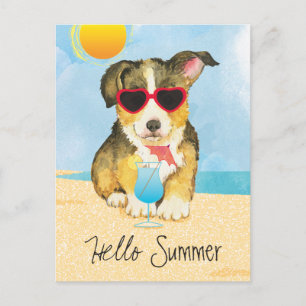 Summer Pembroke Welsh Corgi Briefkaart