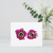 Summer Petunias Briefkaart (Staand voorkant)