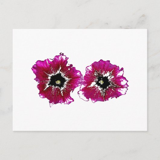 Summer Petunias Briefkaart (Voorkant)