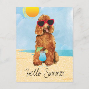 Summer Poodle Briefkaart