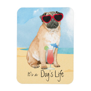 Summer Pug Magneet