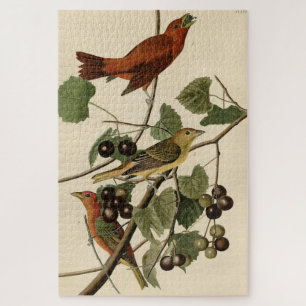 Summer Red Bird (Tanager) Audubon Birds of America Legpuzzel