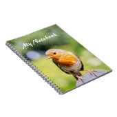 Summer Robin Notitieboek (Rechterzijde)