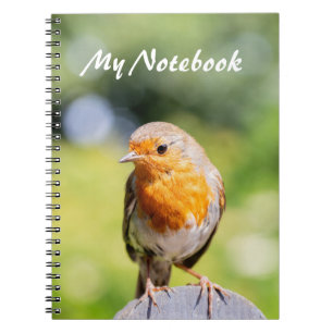 Summer Robin Notitieboek