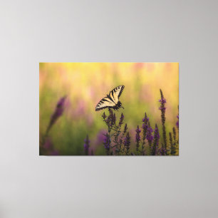 Summer Scene, Butterfly en Loosestrife Canvas Afdruk