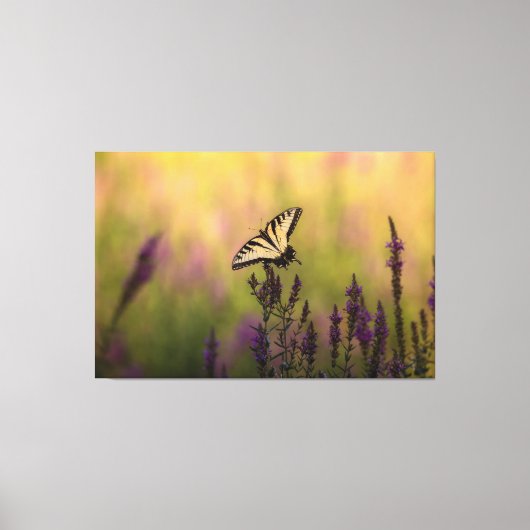Summer Scene, Butterfly en Loosestrife Canvas Afdruk (Voorkant)