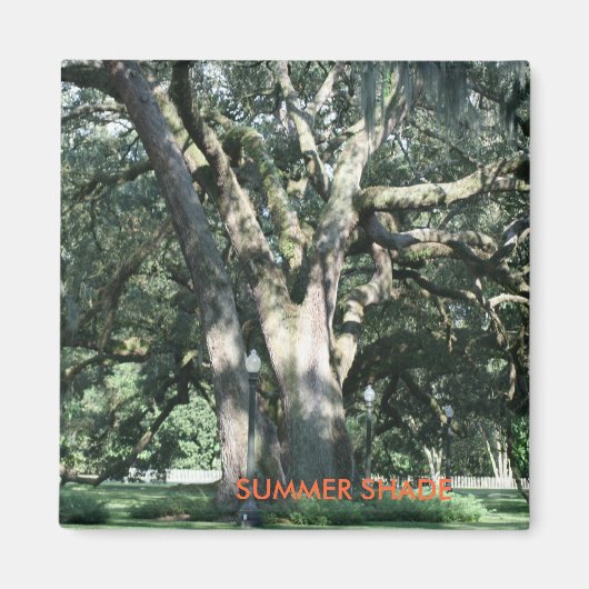 SUMMER SHADE Season Magnet Magneet (Voorkant)