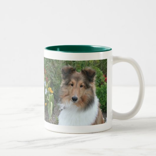 Summer Sheltie Mok (Rechts)