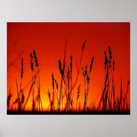 Summer Silhouette Poster (Voorkant)