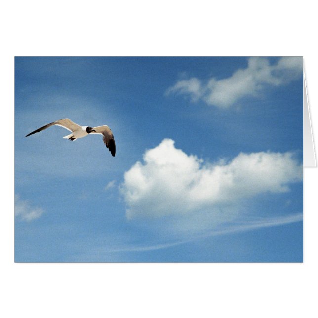 Summer Sky (Voorkant Horizontaal)