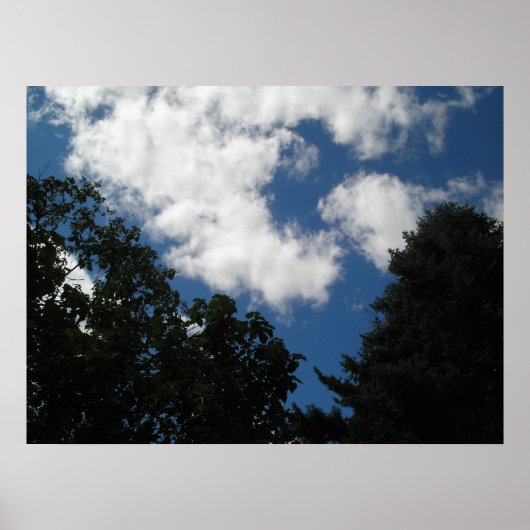 Summer Skye Poster (Voorkant)