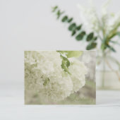 Summer Snow by JerseyFawn Briefkaart (Staand voorkant)