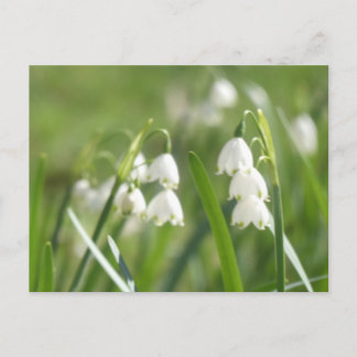 Summer Snowflakes DIY Postcard Feestdagenkaart