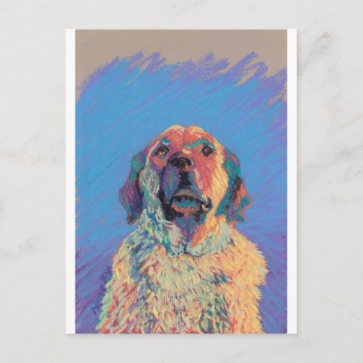 Summer Sun Briefkaart (Voorkant)