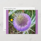 Summer Thistle Flower Briefkaart (Voorkant / Achterkant)