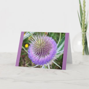 Summer Thistle Flower Kaart