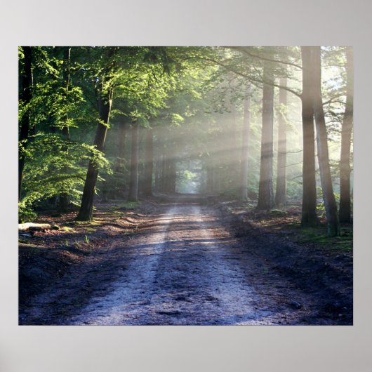 Summer Trees die Dirt Road beslaan Poster (Voorkant)