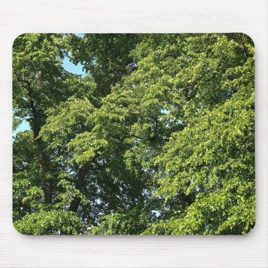 Summer Trees Muismat (Voorkant)