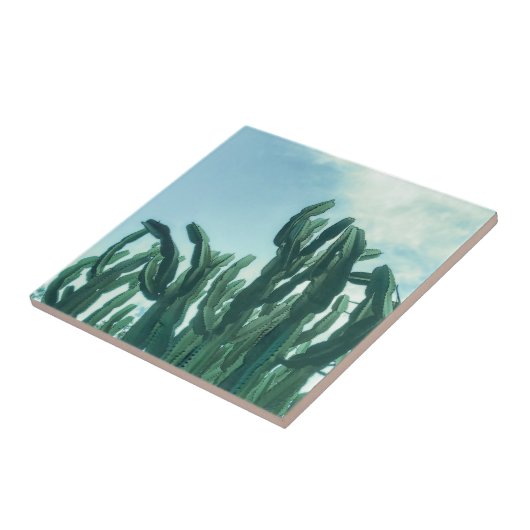 Summer Vibes Palm Tree Cactus Bleek Green Tegeltje (Zijkant)