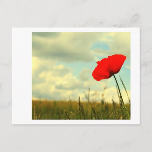 Summerdroom Briefkaart (Voorkant)