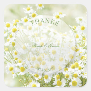 Summerfield Daisies Kamille Bloem Bruiloft Bedankt Vierkante Sticker