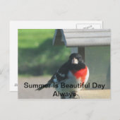 Summers Beautty Briefkaart (Voorkant / Achterkant)