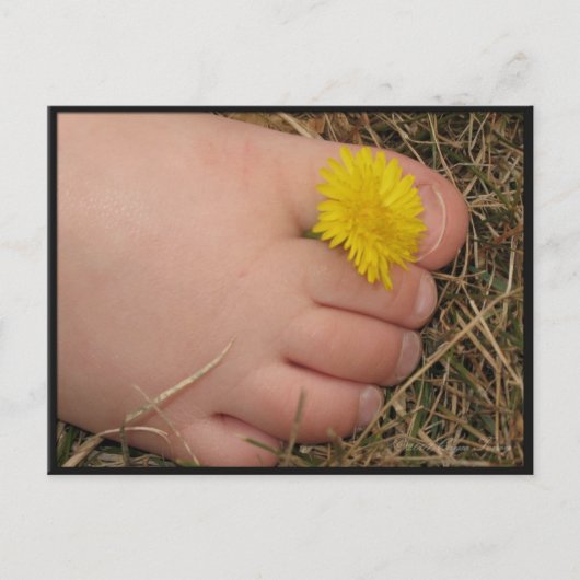 Summertime Briefkaart (Voorkant)