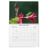 Summertime Garden Calendar Kalender (Feb 2026)