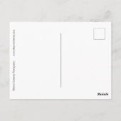 "Summertime", nog steeds leven met flesje en citru Briefkaart (Achterkant)