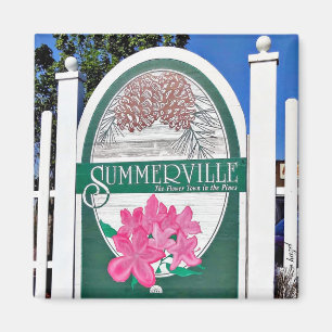 Summerville, Charleston, South Carolina, Magnet Magneet