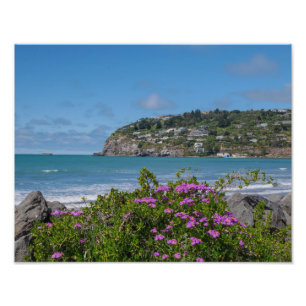 Sumner Beach, ChristChurch - Foto afdrukken Afdruk